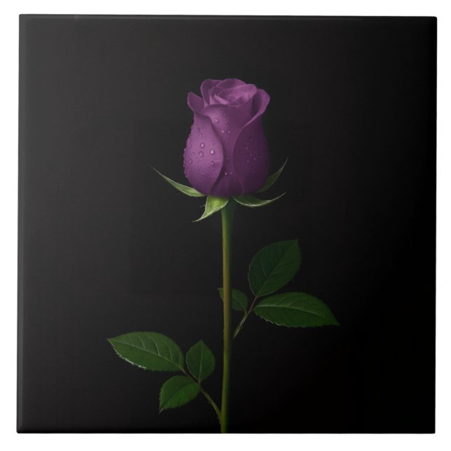 Carreau Noir 4 Luxe avec Rose Violette Royale (Devant)