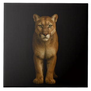 Carreau Noir 4 Luxe avec Silent Prime Puma