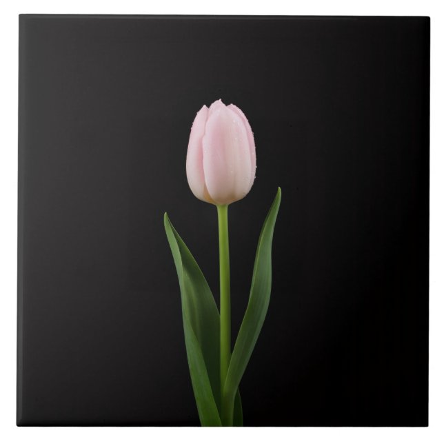 Carreau Noir 4 Luxe avec Tulipe Rose Tendre (Devant)
