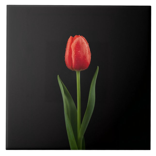 Carreau Noir 4 Luxe avec Tulipe Rouge Rubis (Devant)