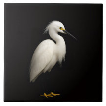 Carreau Noir 4 Luxe avec un Élégant Aigrette Garze