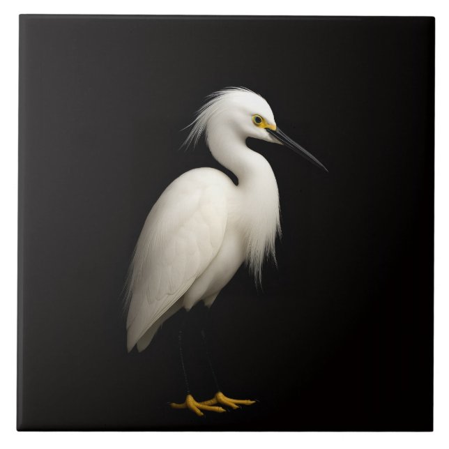 Carreau Noir 4 Luxe avec un Élégant Aigrette Garze (Devant)