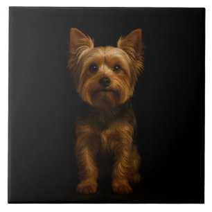Carreau Noir 4 Luxe avec Yorkshire Terrier