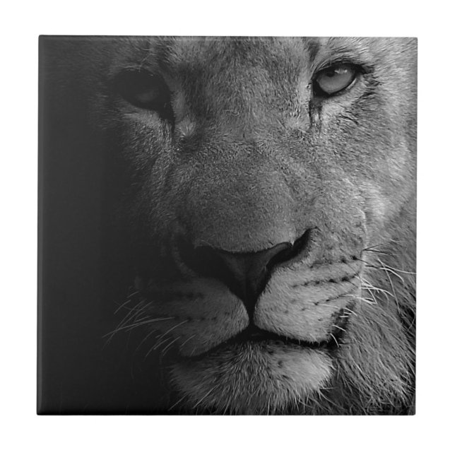 Carreau Noir Blanc Motivation Leadership Lion Portrait (Devant)