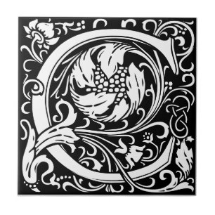 Carreau noir et blanc de style Art nouveau représe