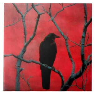 Carreau Noir Et Rouge