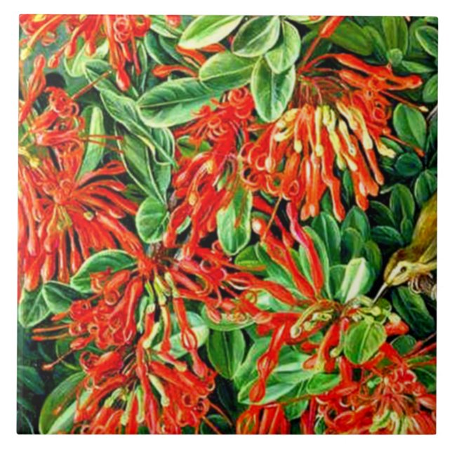 Carreau Nord - Burning Bush et Emu Wren du Chili (Devant)