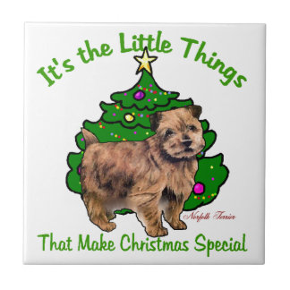 Carreau Norfolk Terrier Noël