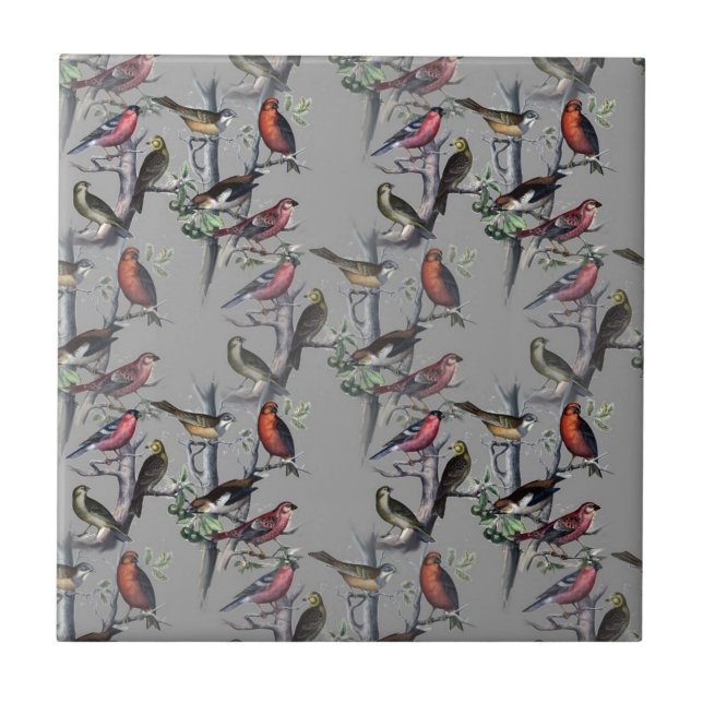 Carreau Nouveaux accessoires motifs Birds, gris art vintag (Devant)