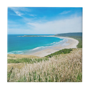 Carreau Nouvelle-Zélande, île du Sud, Catlins, baie de Tau