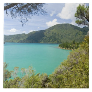 Carreau Nouvelle-Zélande, île du Sud, Marlborough Sounds.