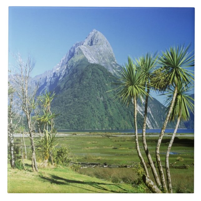 Carreau Nouvelle-Zélande, île du Sud, pic de Miter, (Devant)