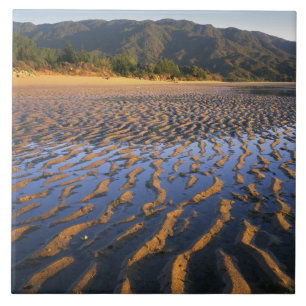 Carreau Nouvelle-Zélande, Parc national Abel Tasman, Côte