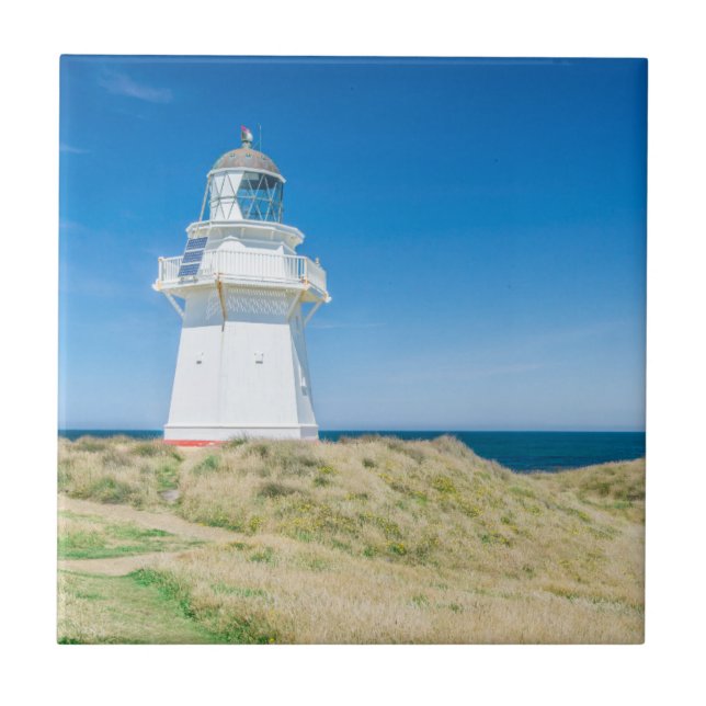 Carreau Nouvelle-Zélande, South Island, Catlins, Waipapa (Devant)