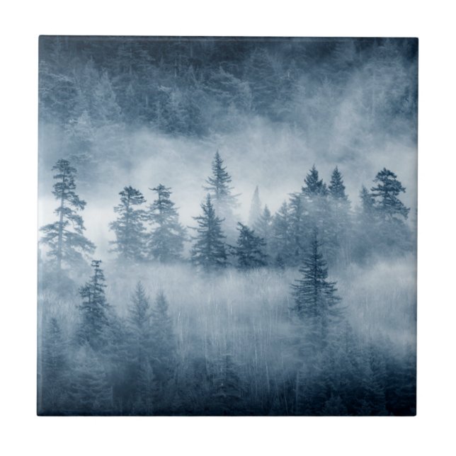 Carreau Nuages de forêt tropicale dans le nord-ouest (Devant)