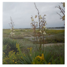 Carreau Nuages de plage et fleurs sauvages - île de chêne,