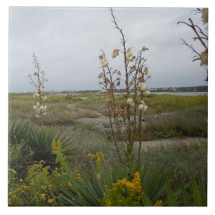 Carreau Nuages de plage et fleurs sauvages - île de chêne,