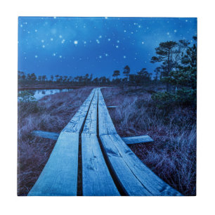 Carreau Nuit des marais