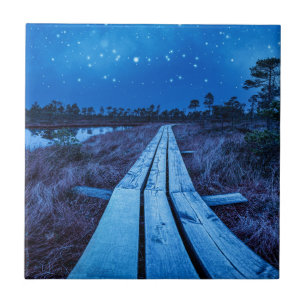 Carreau Nuit des marais