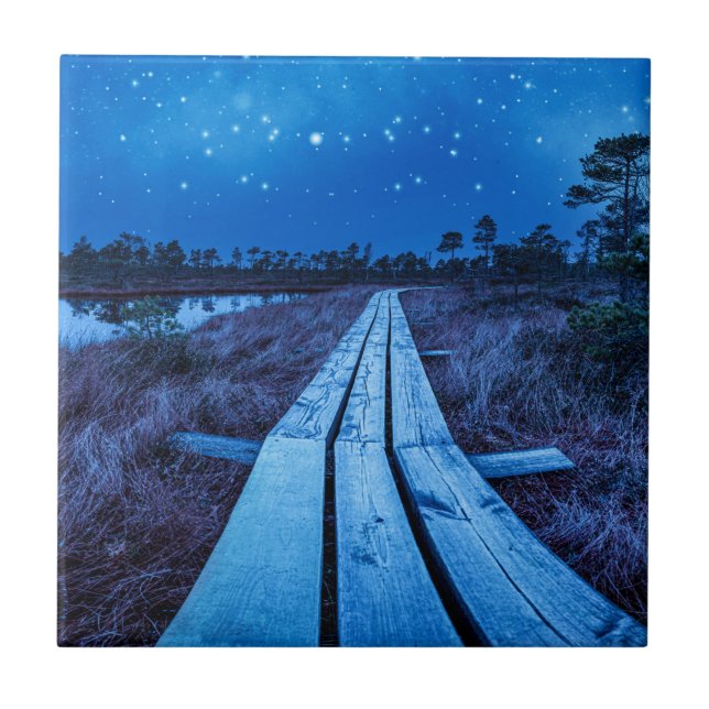 Carreau Nuit des marais (Devant)