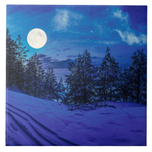 Carreau Nuit étoilée avec pleine lune en forêt