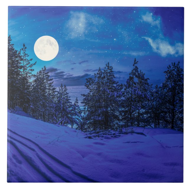 Carreau Nuit étoilée avec pleine lune en forêt (Devant)