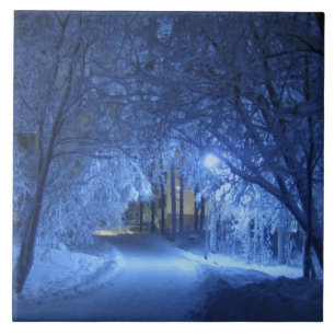 Carreau Nuit hivernale neige