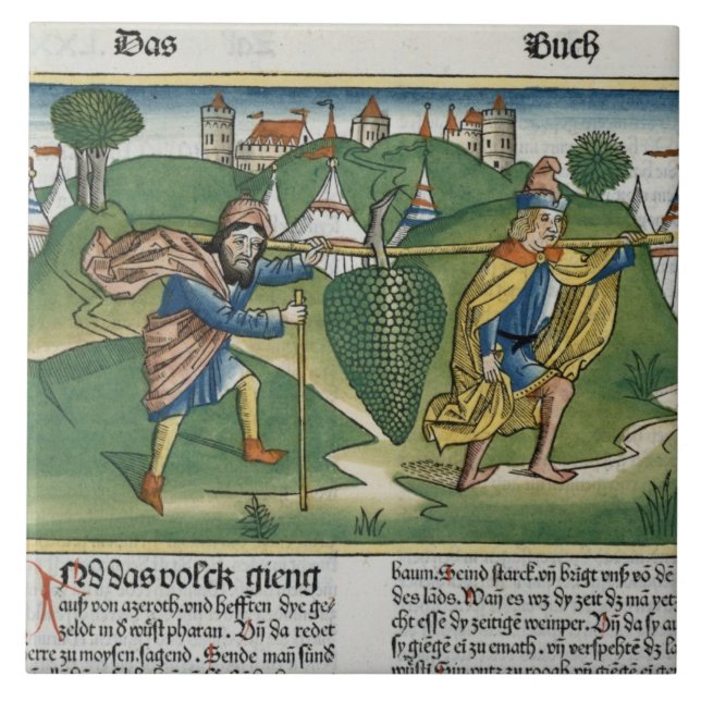 Carreau Numéros 13 23 les raisins d'Eschol, du 'Nure (Devant)