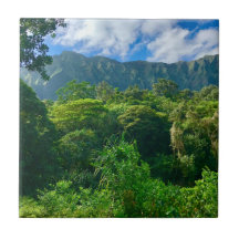 Oahu, forêt tropicale d'Hawaii