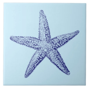 Carreau Ocean Beach Starfish