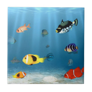 Carreau Océans des poissons