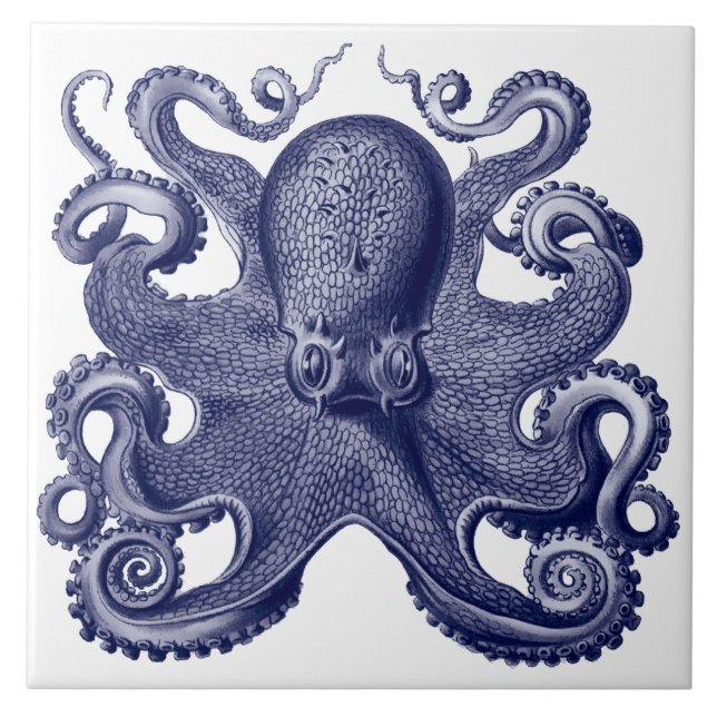 Carreau Octopus bleu et blanc (Devant)