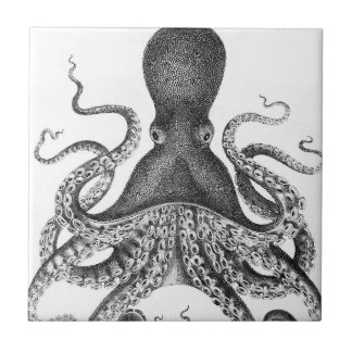 Carreau Octopus d'impression Vintage