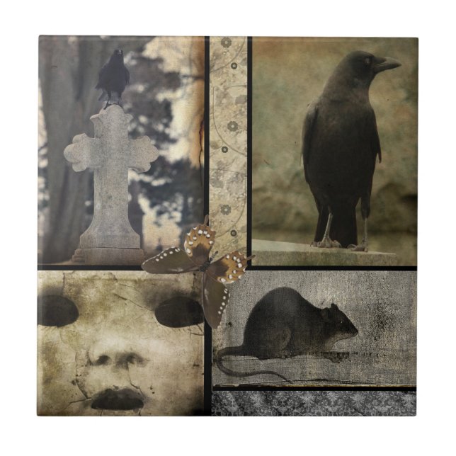 Carreau Oddidités du corbeau vintage (Devant)