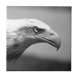 Carreau Oeil d'aigle noir et blanc