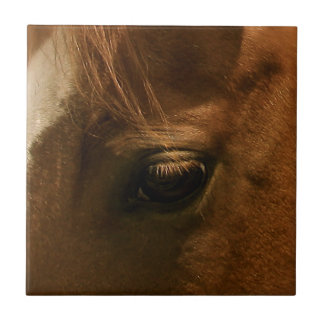 Carreau Oeil de cheval