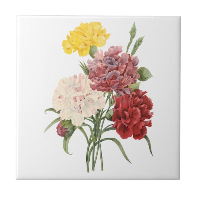 Carreau Oeillets vintages Dianthus Garden Flowers Redoute (Devant)