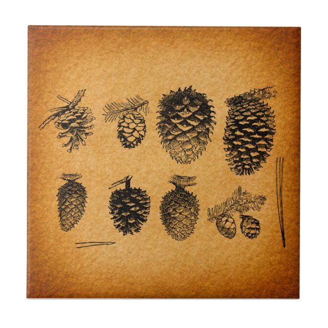 Carreau OEuvre d'antiquité Russe Pinecones Pine Cone (Devant)