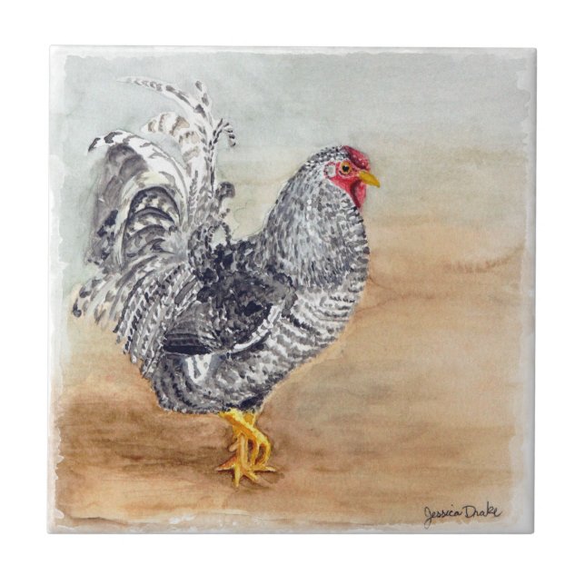 Carreau Oeuvre d'aquarelle Dominique Chicken Rooster (Devant)