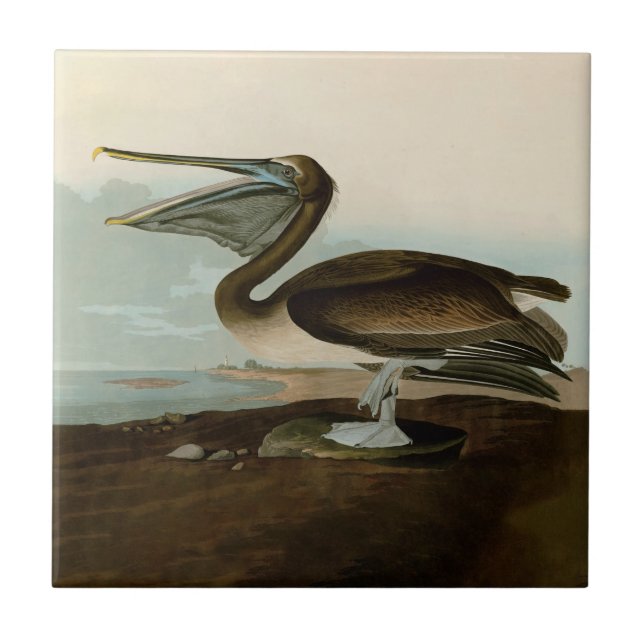 Carreau Œuvre d'art de Pélican Brun de John James Audubon  (Devant)
