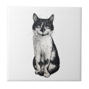 Carreau Ogie le chat