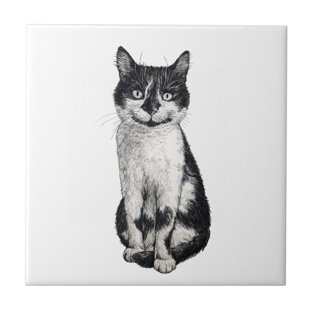 Carreau Ogie le chat (Devant)