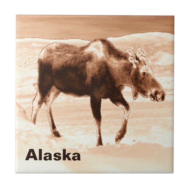 Carreau Oie au chocolat au lait (Devant)