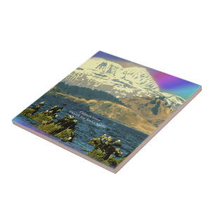 Carreau Oies empereur sur la baie Chiniak près de Chiniak,