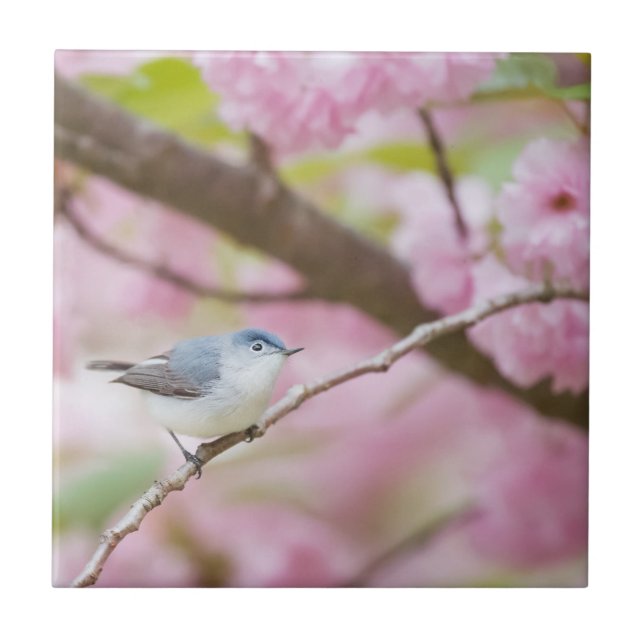 Carreau Oiseau dans l'arbre à fleurs roses (Devant)
