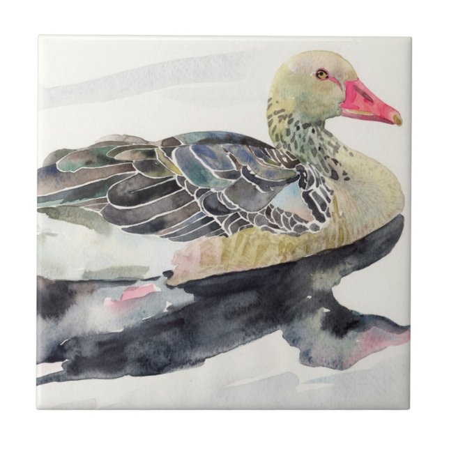 Carreau Oiseau d'aquarelle d'aspiration de main, canard (Devant)
