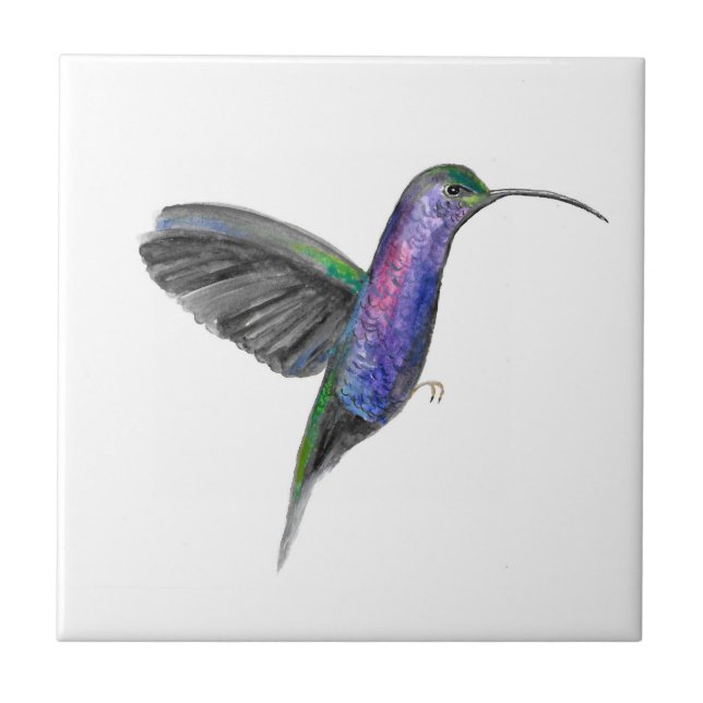 Carreau Oiseau de mer Aquarelle couleur couleur (Devant)