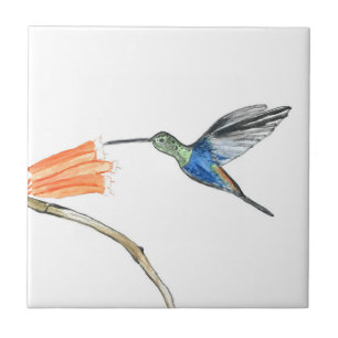 Carreau Oiseau de mer Aquarelle couleur couleur