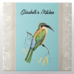 Carreau Oiseau de mer d'abeilles somalien avec nom sur Aqu<br><div class="desc">Ce design présente l'adorable oiseau "bee eater" (Merops révoilii), avec ses plumes vives et colorées et son plumage. Cet oiseau aux tons de bijoux, comme son nom l'indique, capture divers insectes. Cette espèce n'est généralement présente qu'en Éthiopie, au Kenya, en Arabie Saoudite, en Somalie et en Tanzanie. Certains pensent que...</div>