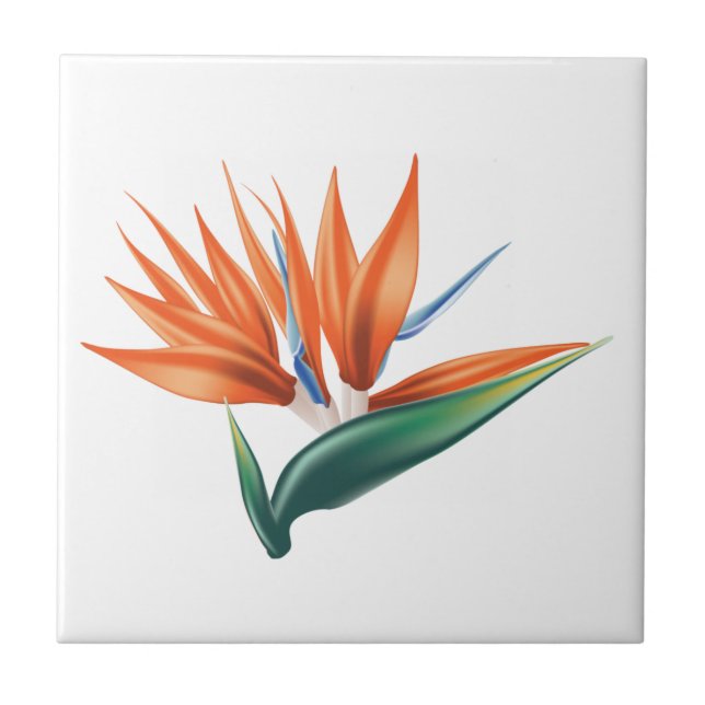 Carreau Oiseau de paradis, fleur exotique de strelitzia (Devant)